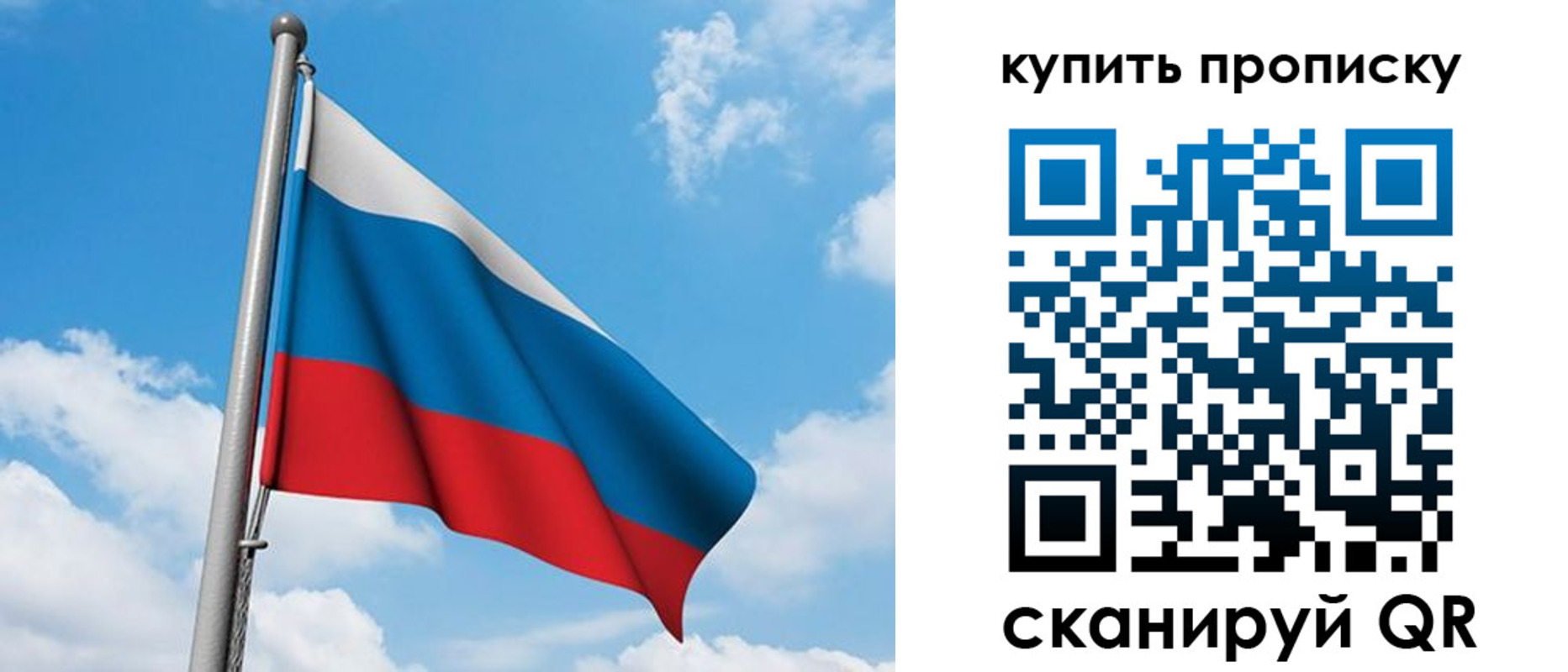 прописка законно в Павловске